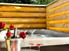 Balor 1 - Hot Tub-Perth-Pets