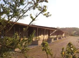 Hôtel - Domaine de la Blanchardière - Le Mans