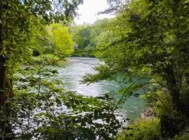 ZEcamping 3 animaux acceptés et terrain de tennis