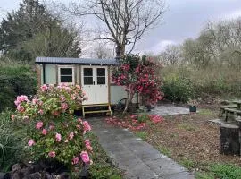 The Shrubbery Shepherds Hut Dartmoor National Park