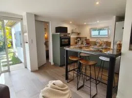 Kaz l'oiseau du paradis