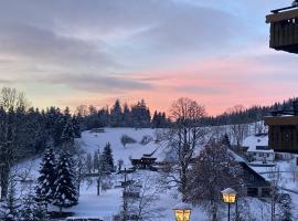 Boutique Hotel & Aparmtents Pension Sternen, hotel in Todtmoos