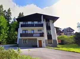 U Lesa Apartmány Harrachov
