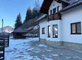 Casa Diaconu – hotel w mieście Fundu Moldovei