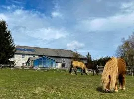 Bio-Bauernhof, Pferdehof Gräser