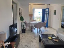 Spacieux appart vue sur mer