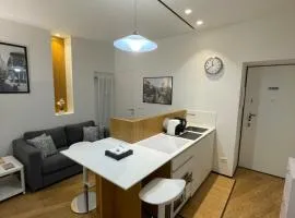 Torino48 Studio Apartment