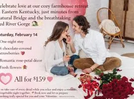 Charming Country Farmhouse Near Natural Bridge