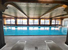 Renovated, swimming pool, sauna, forest, children room, free parking、ショナッハのホテル