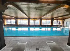 Relaxing terrace-park, renovated, forest, mountain view, swimming pool, sauna and more, free parking