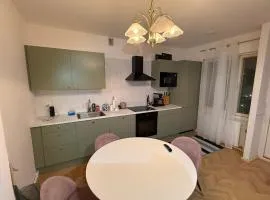 Central Kauppakatu Apartment