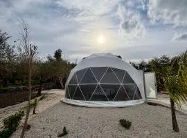 Olive Dome, Luxury Glamping Dome in Crete