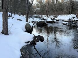 Streamside Cabin in Lake Naomi Fire Pit, hotel v destinaci Pocono Pines