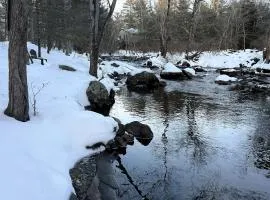 Streamside Cabin in Lake Naomi Fire Pit & Stream