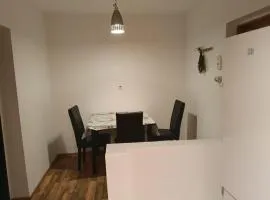 Ultracentral P-ta Trandafirilor 2 camere