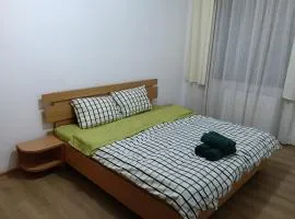 Ultracentral P-ta Trandafirilor 2 camere