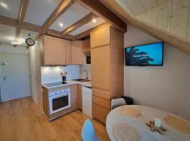 Cocon Bi-Alpin - En Famille ou Amis