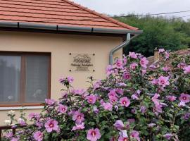 Faluvégi Vendégház, hotel u gradu 'Cserépváralja'