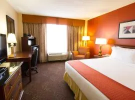 Holiday Inn O'Hare Area by IHG