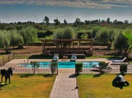 Maison safou