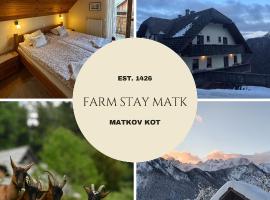 솔차바에 위치한 호텔 Kmetija Matk
