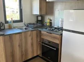 Mobilhome Les Mathes La Palmyre
