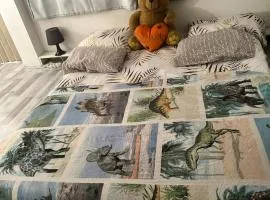 Belle chambre à sous pente au cœur de Bruxelles