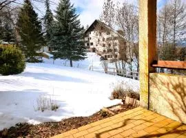 Appartement en rez-de-jardin à 300m des pistes