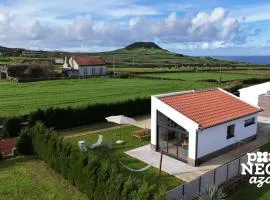 Bird House by PontaNegraAzores