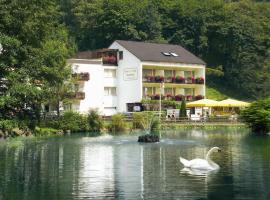 Hotel Residenz, hôtel à Bad Bertrich