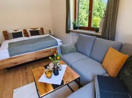 Fewo Am Steinbach - Stoaboch