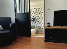 Appartement cosy et lumineux centre-ville #4