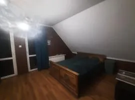 Dom przy lesie Krasnobród