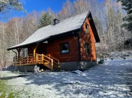 Domek na Zagórze - domek całoroczny