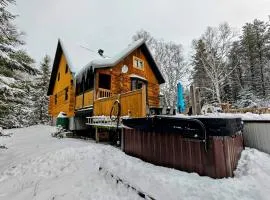 1- Chalet en bois rond Bouleau