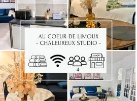 LE COSY - Studio 4 pers - wifi - centre ville