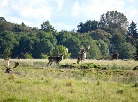 Middelfart Home- nearby free waterpark access, hotel v mestu Middelfart