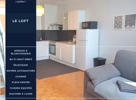 Le Loft - En Plein Centre Très Spacieux