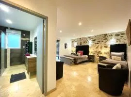 La Petite Félixière