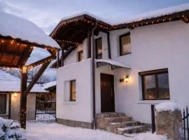 Щъркелово гнездо