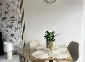 Apartament Rynek Strzelin