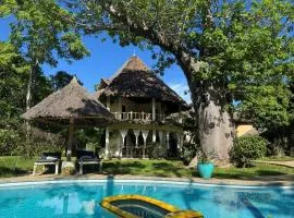 Villa Mbuyu, 3 bedrooms Villa, only 550m to the beach