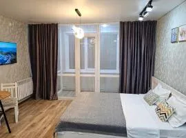 1 комнатные апартаменты 4а 67