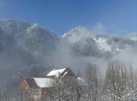 Flamingo Aur Maina Cafe and Stays