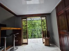 SeStudio Lodge in Nuevo Arenal with Jungle Views