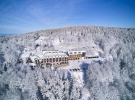 Hotel Tanečnica, allotjament a Pustevny