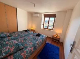 Air Hockey and Garden