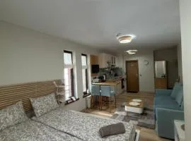 Green Line Studio Appartment Pamporovo