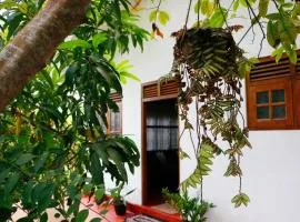 Ivy Cottage- Midigama