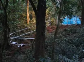 Nadimoola by Jollyboys